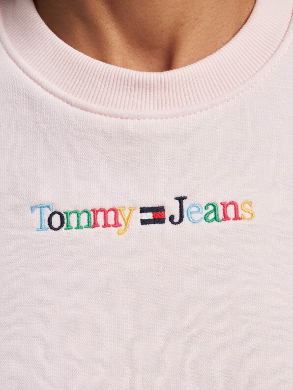 Tommy Jeans Reg Color Serif Linear Sweater-3