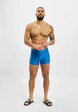 Basic Swim-4