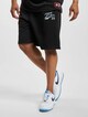 FM232-005-1 FUBU Varsity Mesh Shorts-0