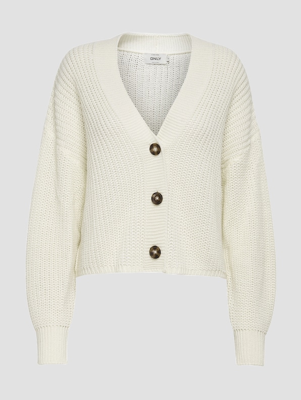  ONLCAROL NICE L/S -4