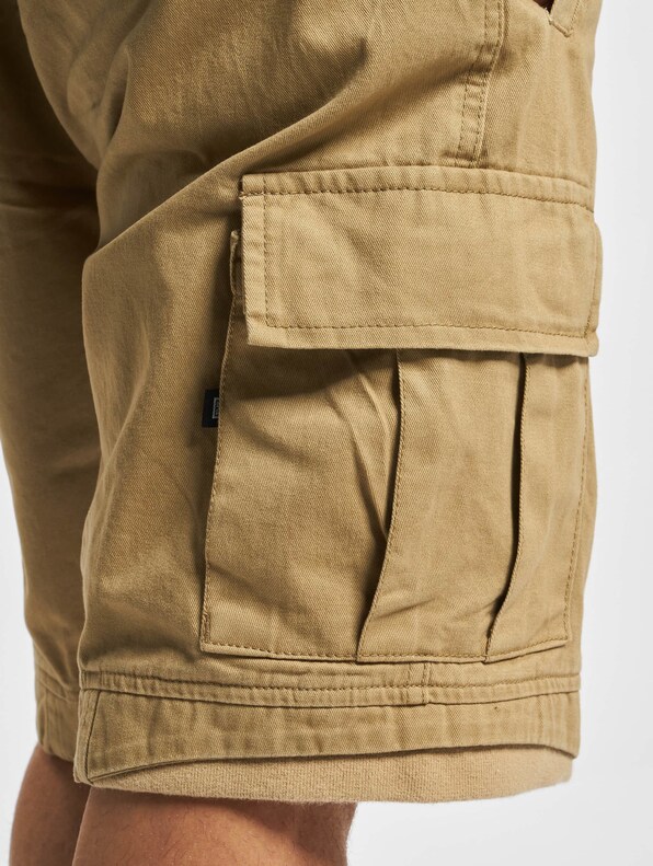 Packham Vintage Shorts-6