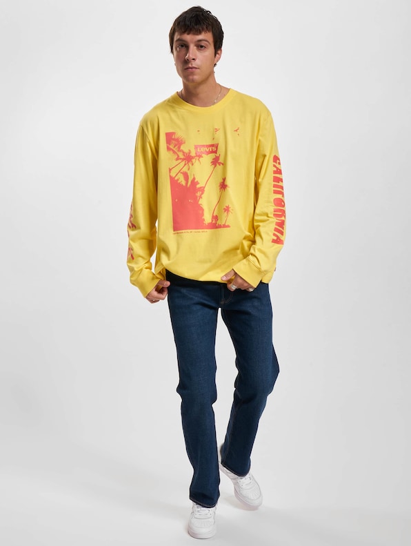 Levi's Relaxed Graphic Longsleeves-6