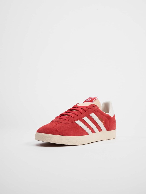 Gazelle -2