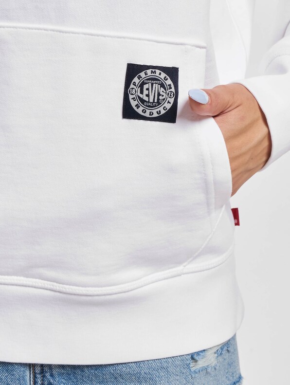 Levis Graphic Standard Hoodie-3