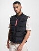 Puffer-2