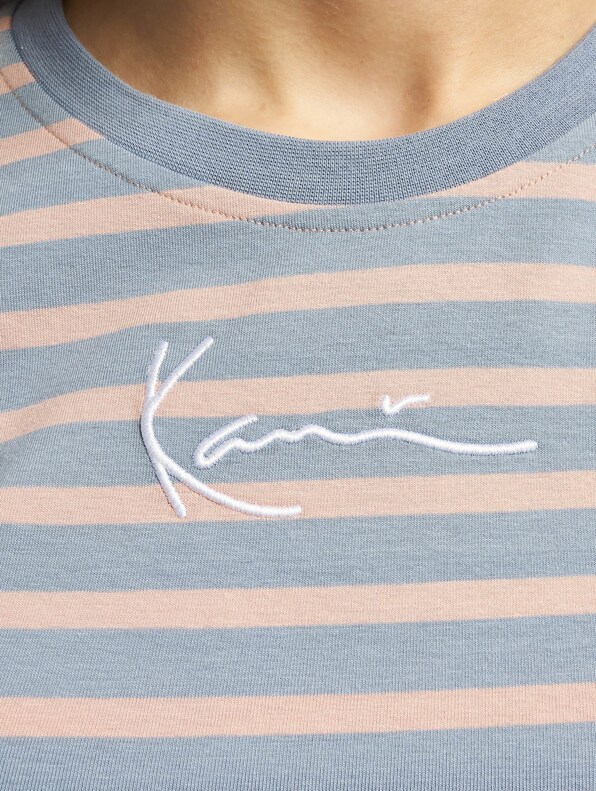 Small Signature Stripe-3