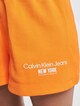 Calvin Klein Jeans Rib Insert Interlocks Shorts-3