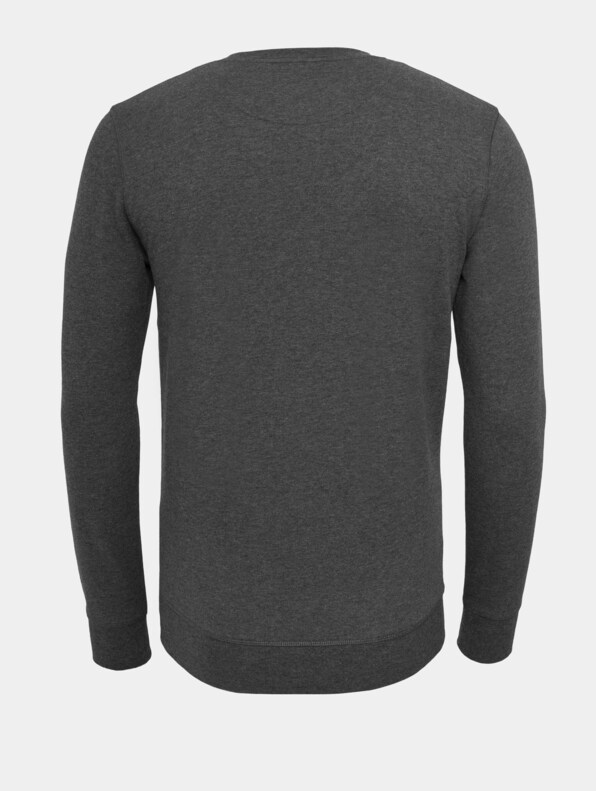 Lost Youth Rose Crewneck -1