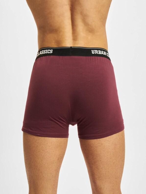 Organic Boxer Shorts 5-Pack-11