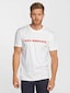 white_16608