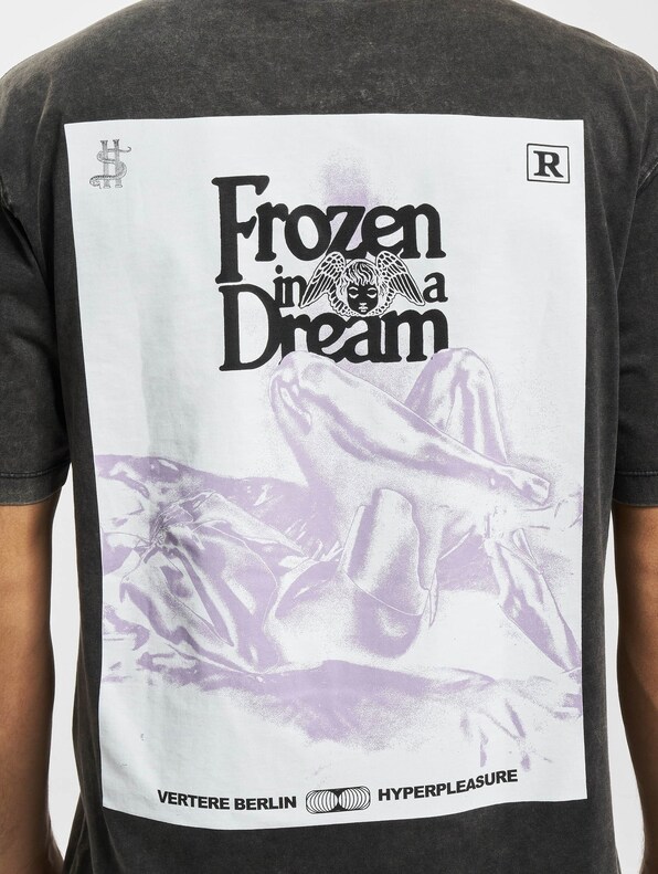 Frozen In A Dream-4