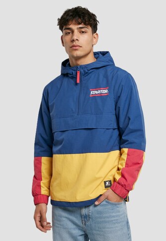 Multicolored Logo