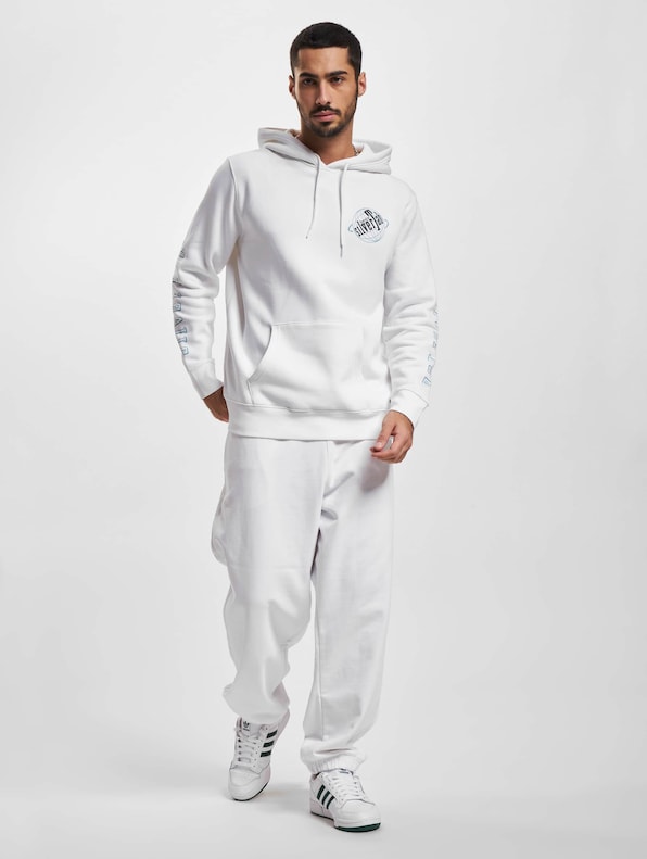 Levi's Standard Graphic Hoodies-6