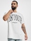 white_21169