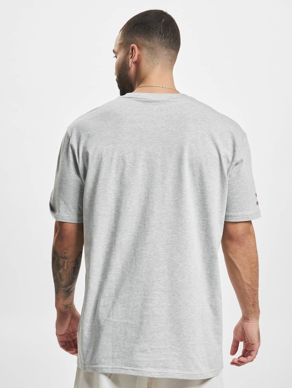 Puma Team Graphic T-Shirt Light Gray-1