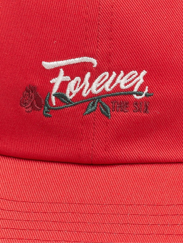 WL Six Forever Curved-3