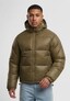 olive_167630
