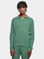 green_3701