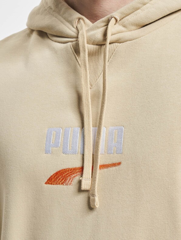 Puma Downtown Logo Tr Hoodie-3