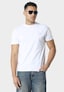 white_204204