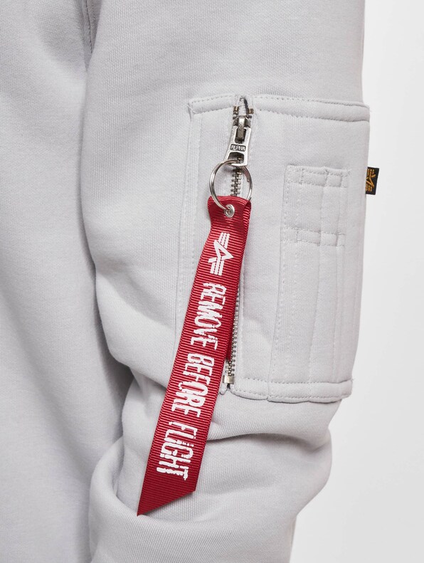 Alpha Industries Back Print Hoodies-4