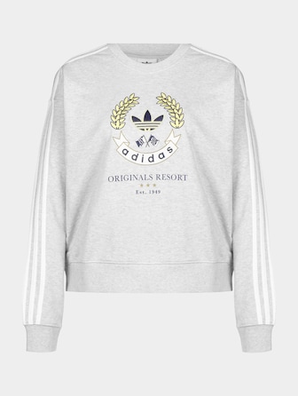 adidas Graphic Sweater