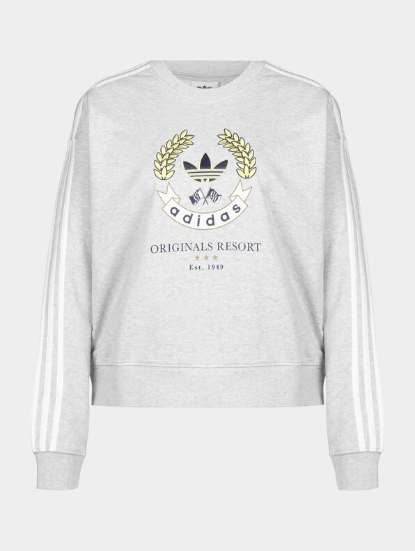 adidas Graphic Sweater-0