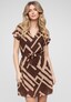 brown_203484