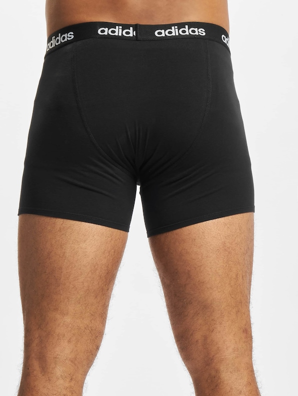 Linear Brief 2 Pack-6