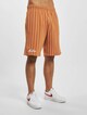 Pinstripe -2