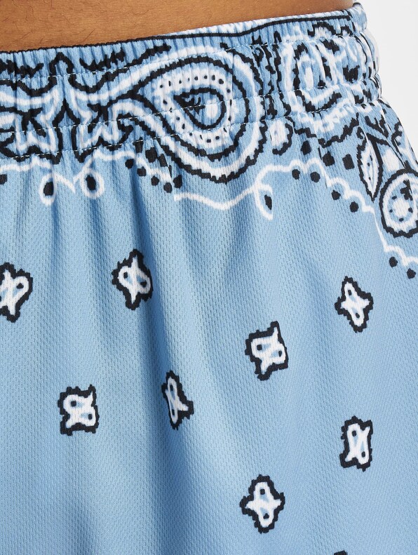 Serif Paisley Mesh-3