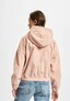 rose_52081
