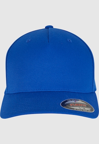 5 Panel