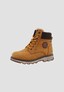brown_188619