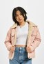 rose_8282