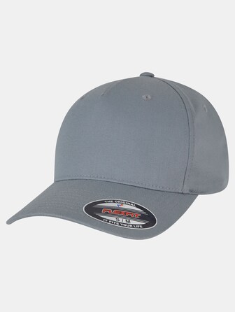 5 Panel