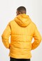 yellow_8209
