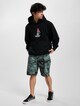 Rip N Dip Hoody-5