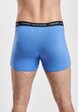 3 Pack Trunk-4