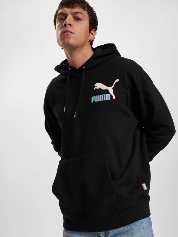 Puma Fandom Hoodie-0