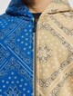 Paisley Block-3