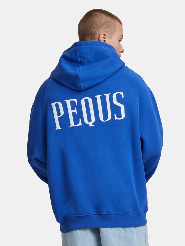 PEQUS Back Logo Hoodies-1