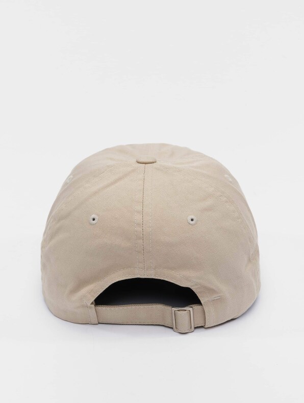 Ecowash Dad-2