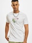 white_33875