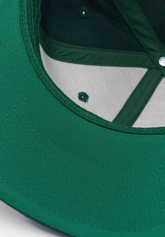 Flexfit Classic Snapback Cap-2