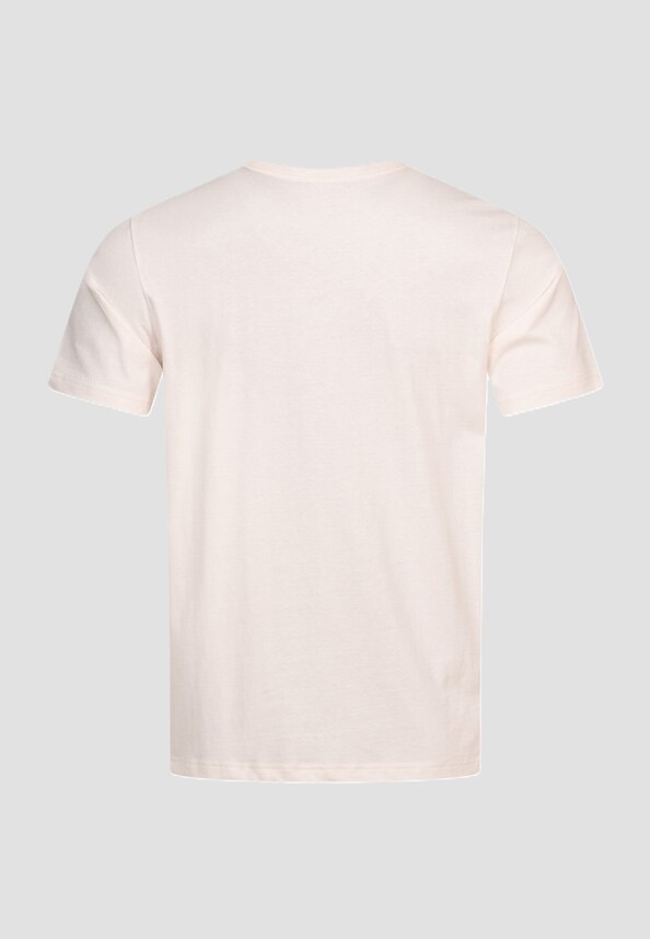 Champion Men T-Shirt Colorblock-1