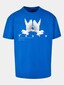 blue_21107