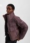 brown_90999