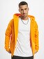 orange_10904