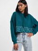 Levi's® Graphic Crop Prism T3 Hoody-0